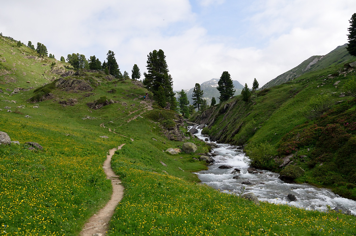 DSC 3924 1200